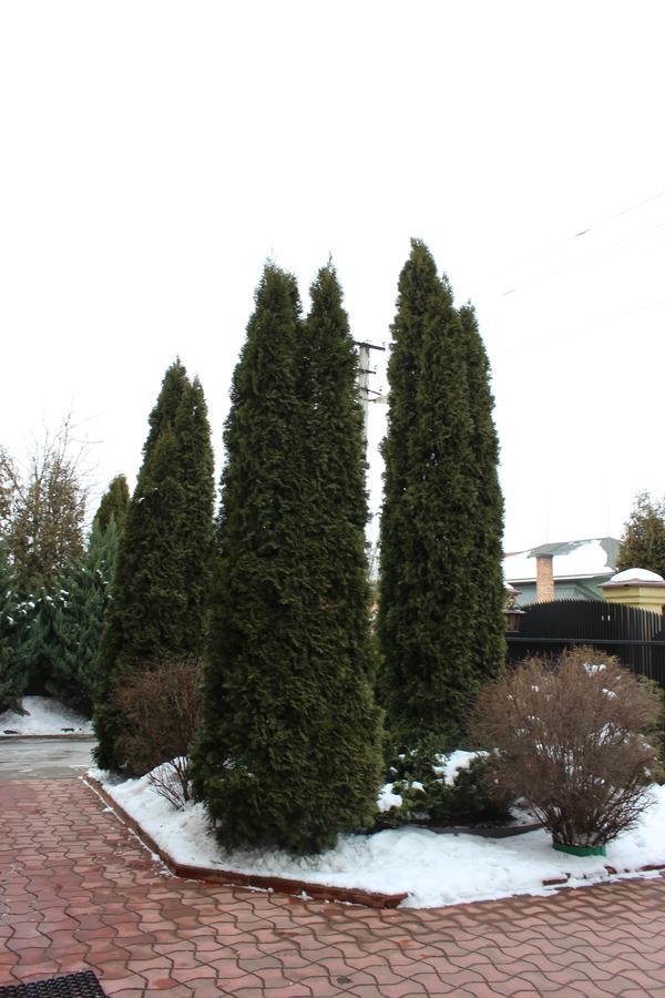 Zolota Pidkova Kovelʼ Exterior foto